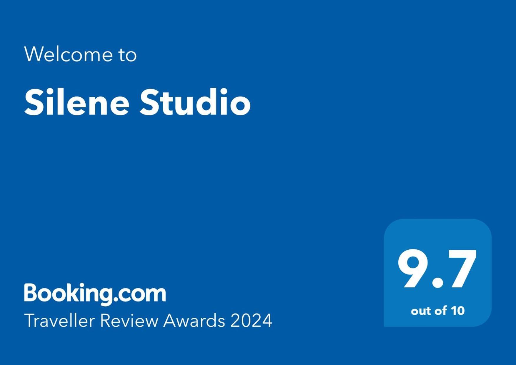 Silene Studio 크라이오바 외부 사진